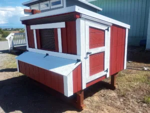 Chicken coop 6x6 red and white